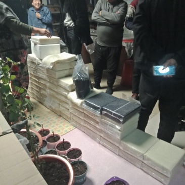 五常大米，香米，稻花香二号，长粒香