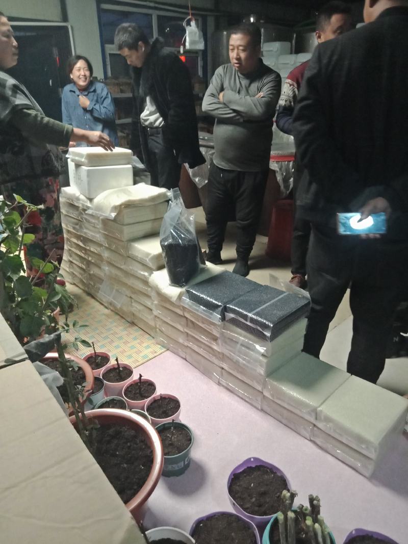 五常大米，香米，稻花香二号，长粒香