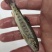 眉山优质鸭嘴鱼，虹鳟，金鳟鱼苗，鱼卵全国发货批发零售