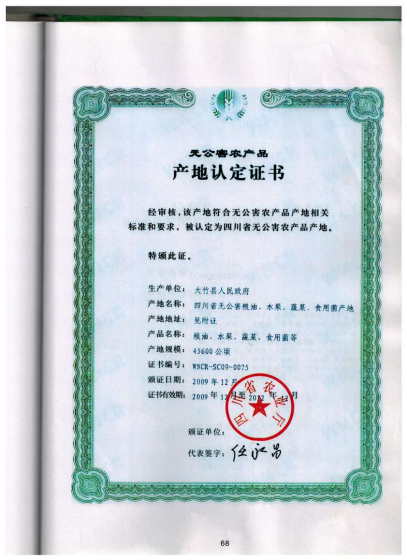 红油香椿苗大竹香椿苗巴山红香椿苗产地直发南北种植技术指导