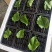 桑葚新鲜桑葚桑果桑果子