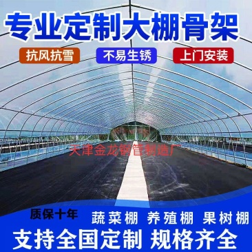 大棚骨架蔬菜大棚养殖大热镀锌钢管大棚包塑钢管大棚全套配件