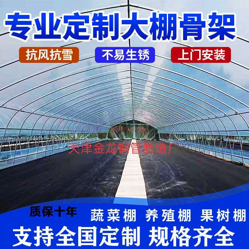 大棚骨架蔬菜大棚养殖大热镀锌钢管大棚包塑钢管大棚全套配件