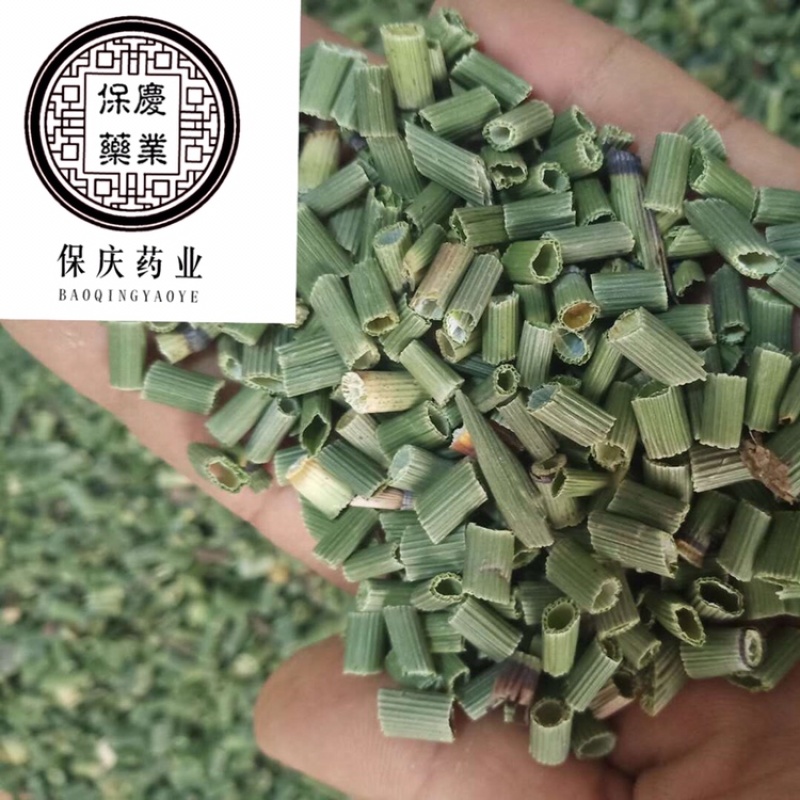 木贼木贼草节节草节骨草无心草笔筒草保庆药业