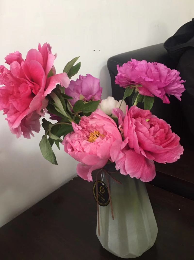 牡丹鲜切花，品种齐全，保证质量，支持快递，空运