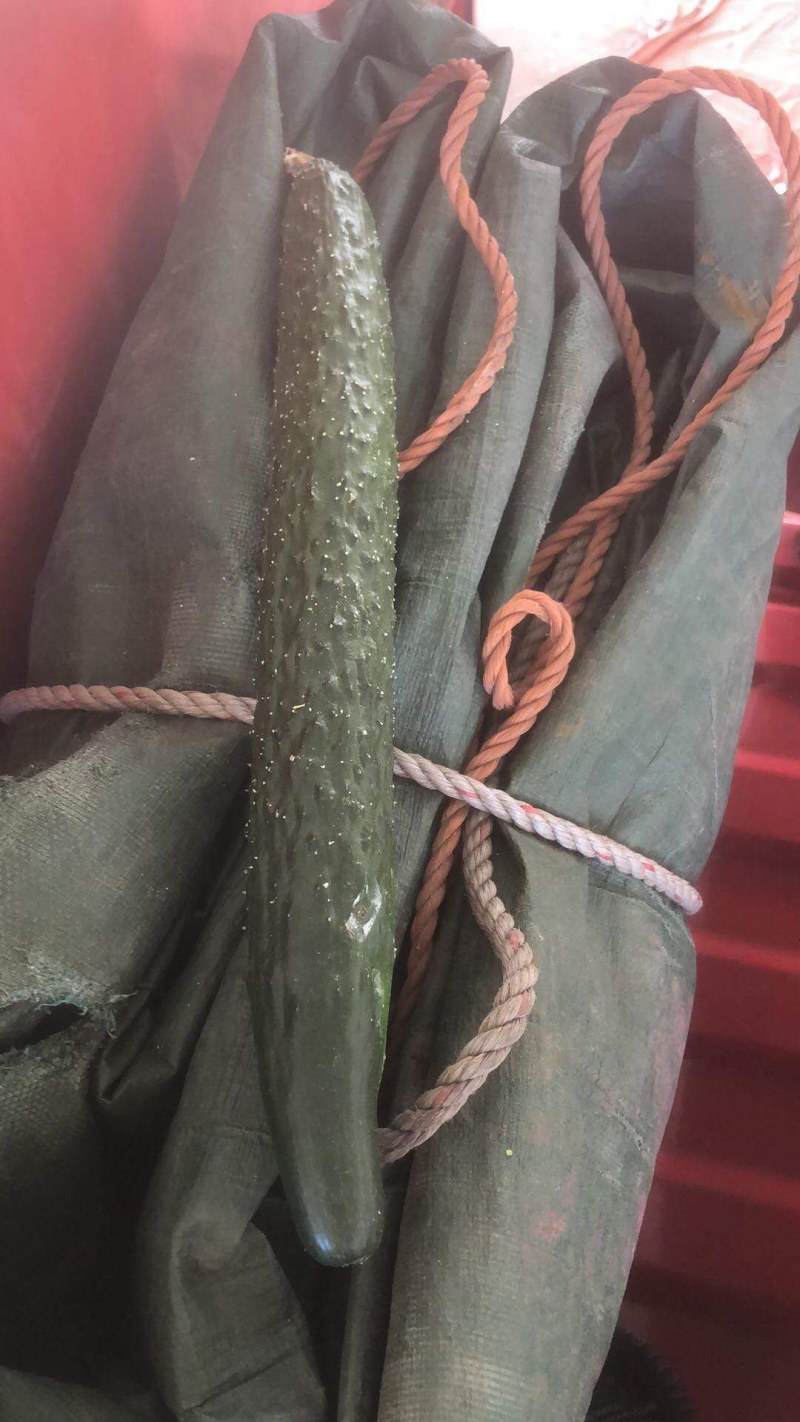 新鲜青黄瓜，货源充足