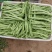 精品山东芸豆大棚种植新鲜採摘诚信报价欢迎咨询买货