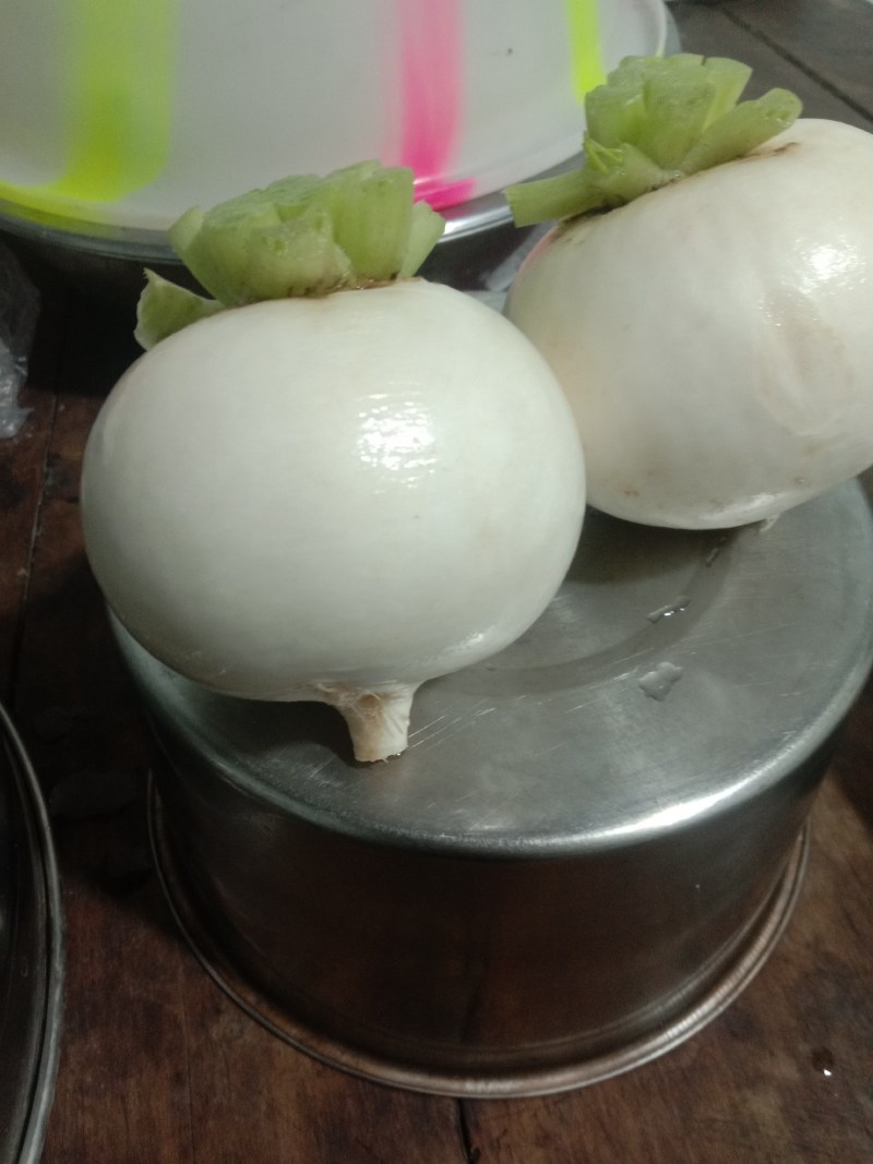 园萝卜，红皮萝卜，大量出货