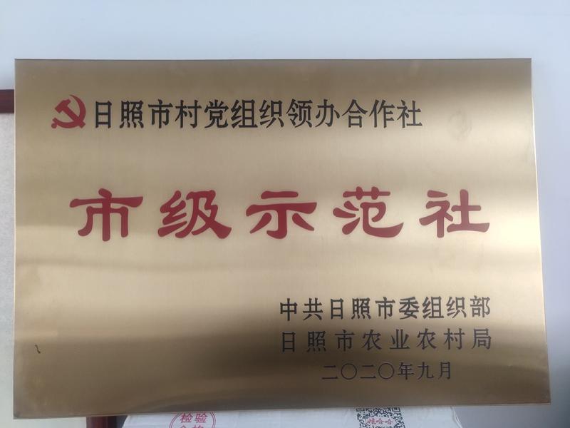 【山东红富士】200万斤红富士苹果品质保证做诚信商户