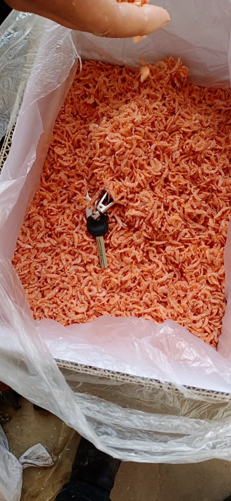 磷虾米。淡干无盐，的磷虾海米，自己加工，