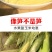 玉米笋得美小玉米沙拉寿司基地精品玉米笋甜美