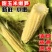 玉米笋得美小玉米沙拉寿司基地精品玉米笋甜美