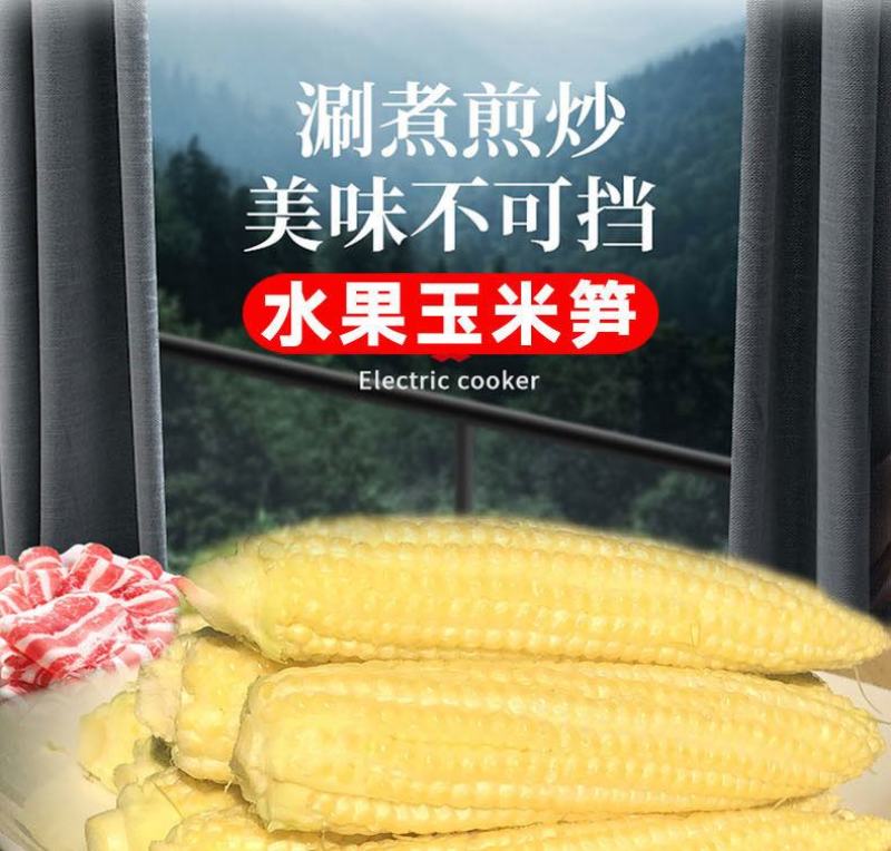 玉米笋得美小玉米沙拉寿司基地精品玉米笋甜美