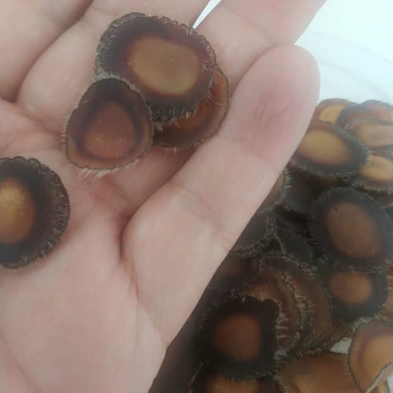 鹿茸片腊片足干东北吉林长春梅花鹿腊片足干腊片包邮
