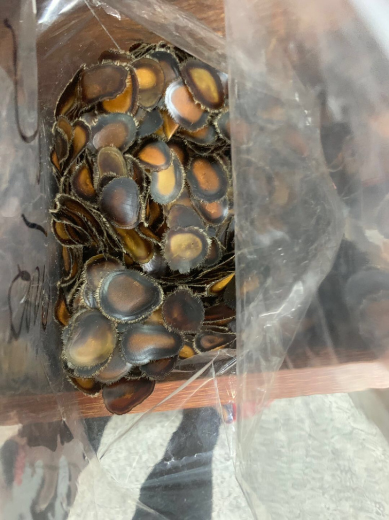 鹿茸片腊片足干东北吉林长春梅花鹿腊片足干腊片包邮