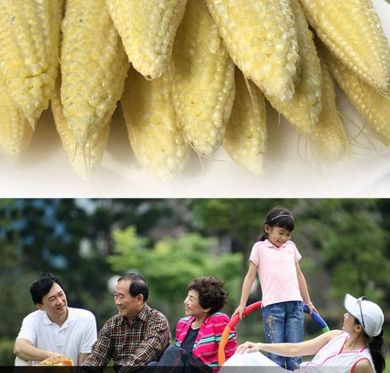 【优选】新鲜玉米笋广东省徐闻得美玉米籽基地欢迎咨询