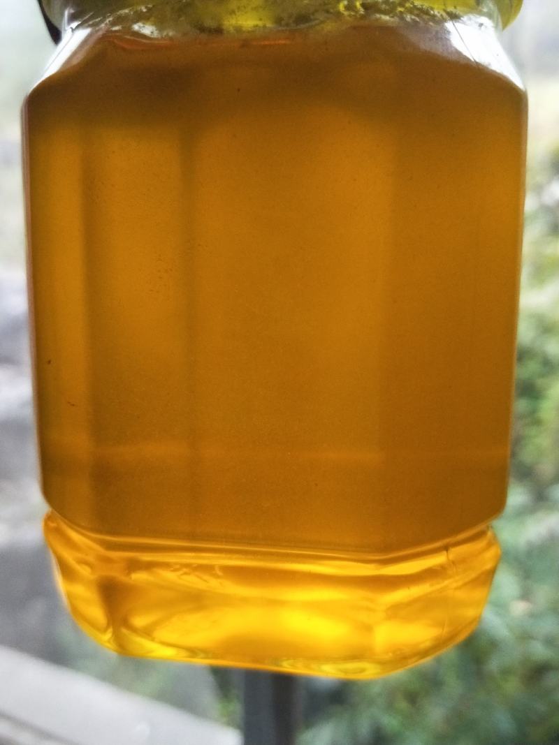 贵州深山老林的纯野生百花蜜