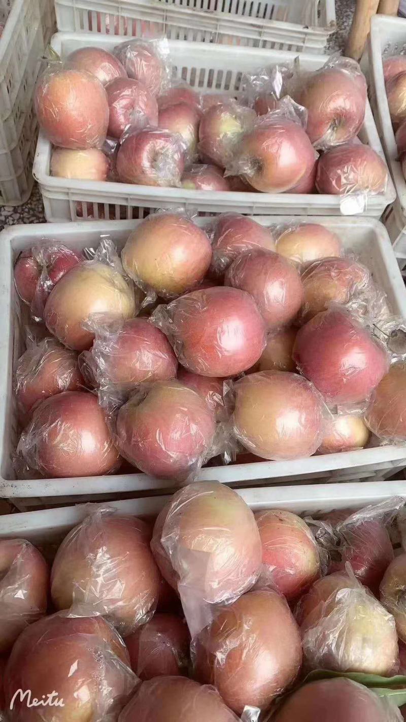 @@苹果，@@苹果合作社