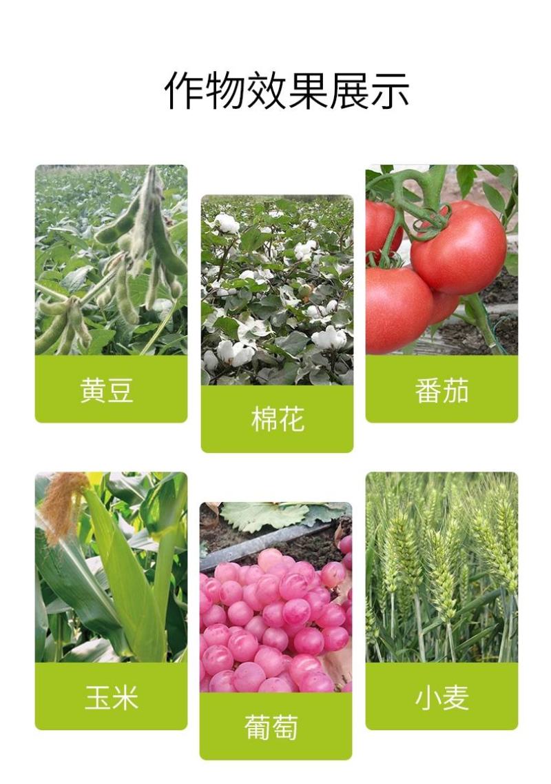 流体氮肥含氨基酸水溶肥料三氮合一，迅速补氮
