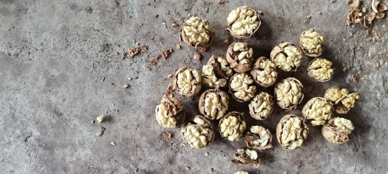 云南核桃，坚果干果，皮薄仁白老人小孩孕妇零食