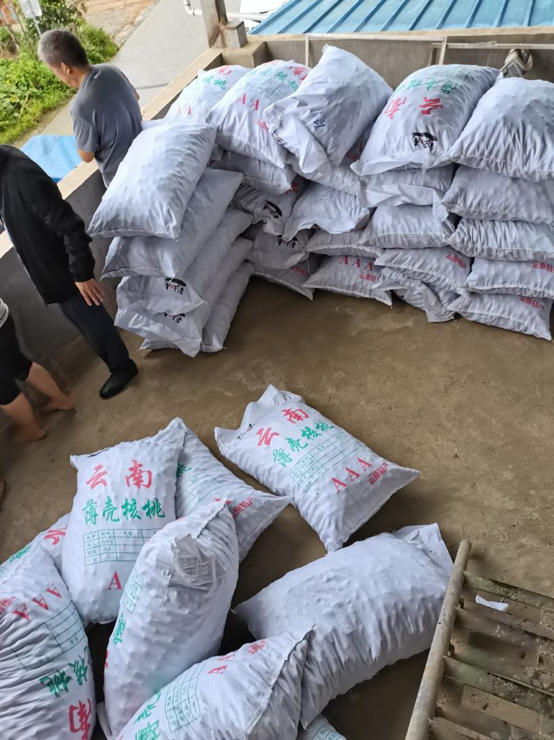 云南核桃，坚果干果，皮薄仁白老人小孩孕妇零食
