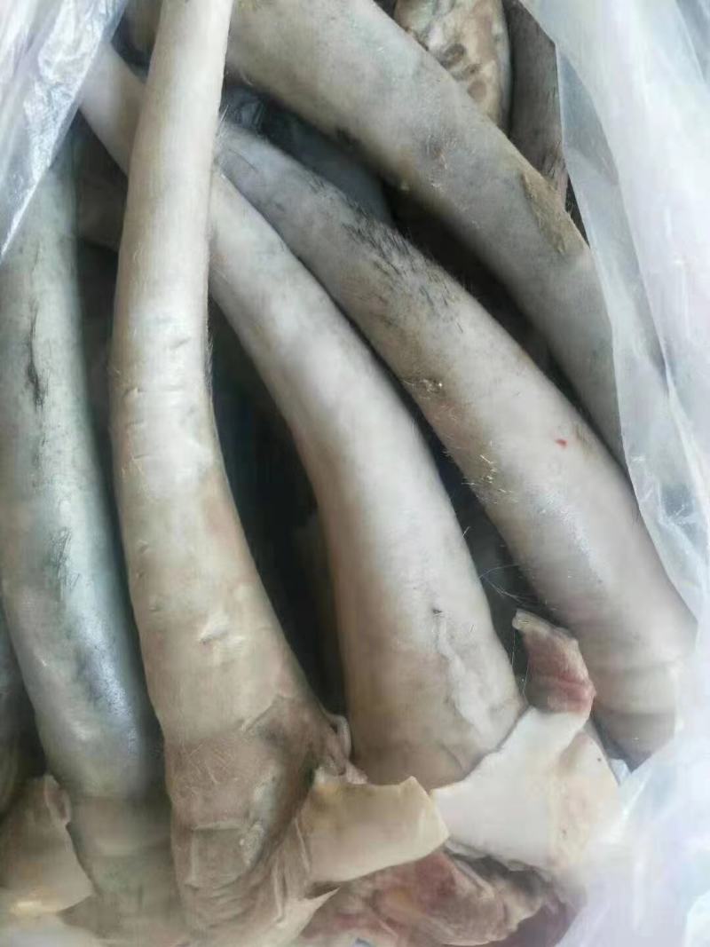 驴尾有货，水褪毛驴尾巴，新鲜水褪无毛，保证现杀可放心购买