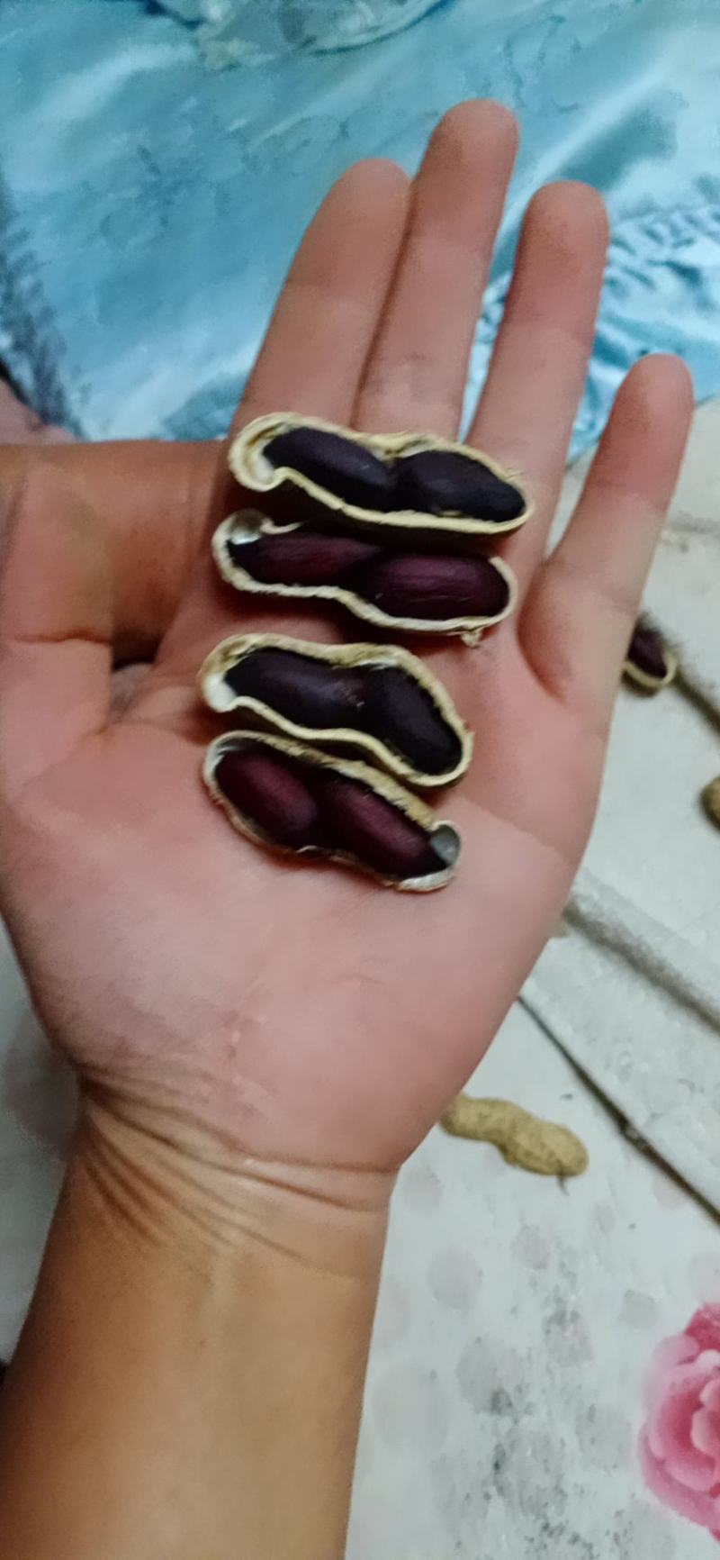 大量批发鲁黑花生无中间商