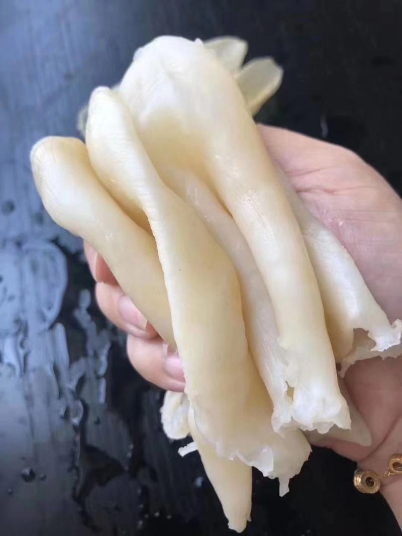 花胶鱼肚60头90头咸水鱼胶筒鱼鳔干货食补养颜胶原蛋白