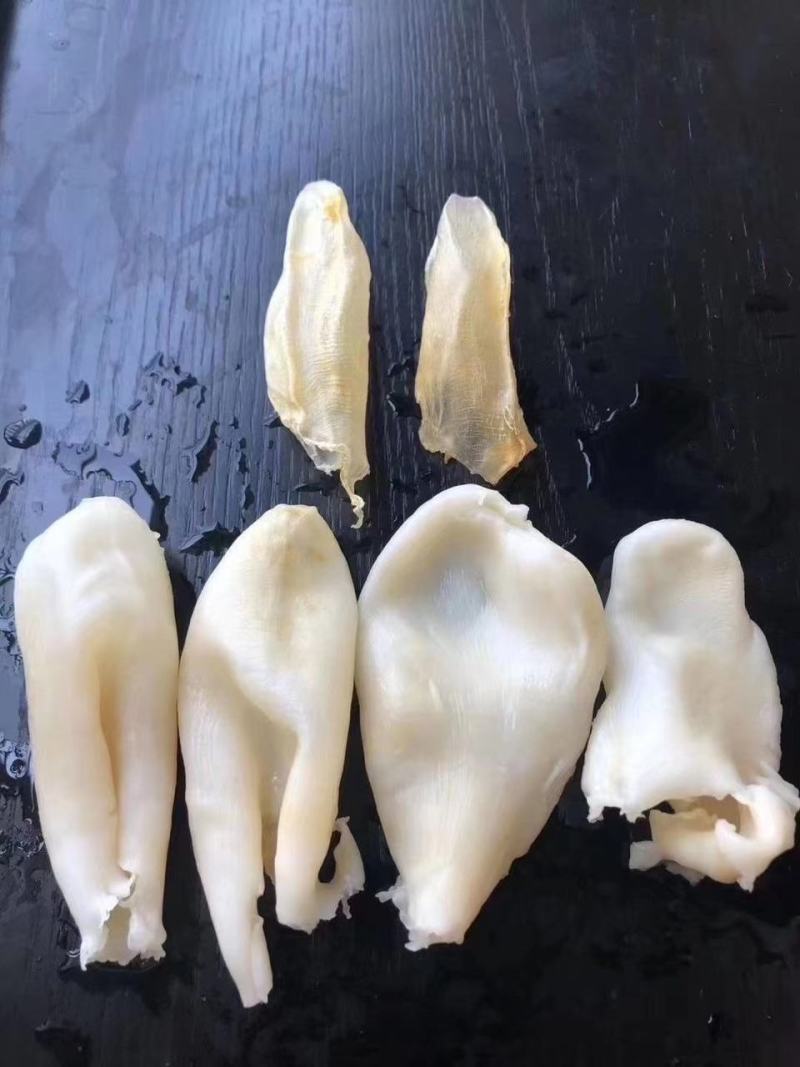 花胶鱼肚60头90头咸水鱼胶筒鱼鳔干货食补养颜胶原蛋白