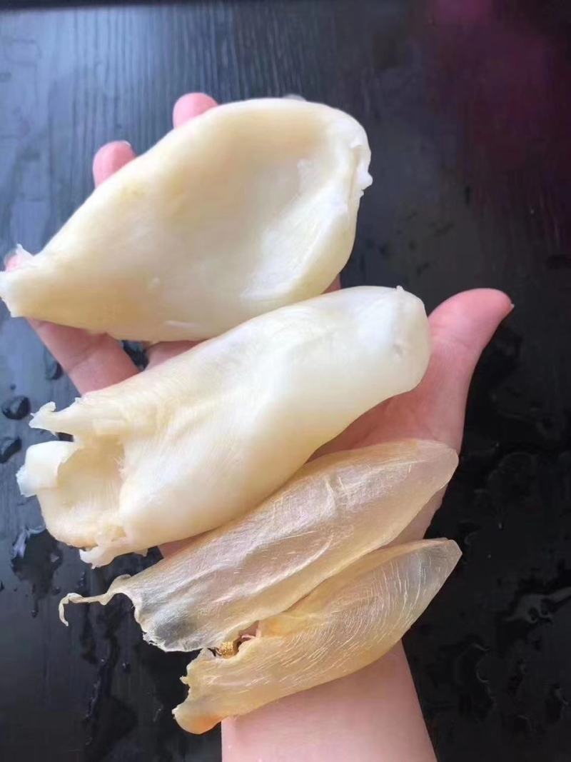 花胶鱼肚60头90头咸水鱼胶筒鱼鳔干货食补养颜胶原蛋白