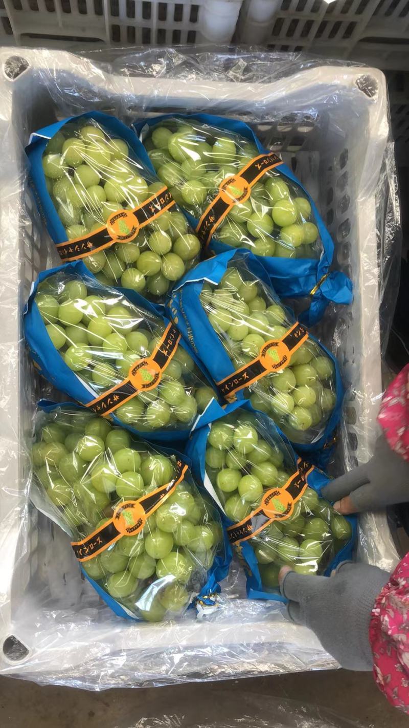 阳光玫瑰，精品晴王葡萄。我们这里是万亩葡萄种植基地。