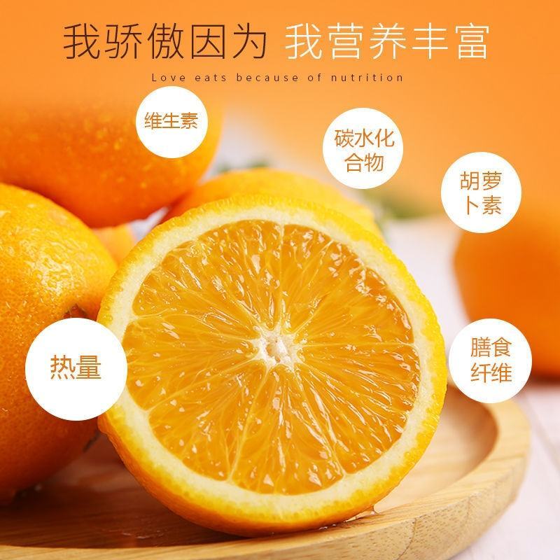 橙子优质货源可支持电商一件代发