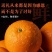 橙子优质货源可支持电商一件代发