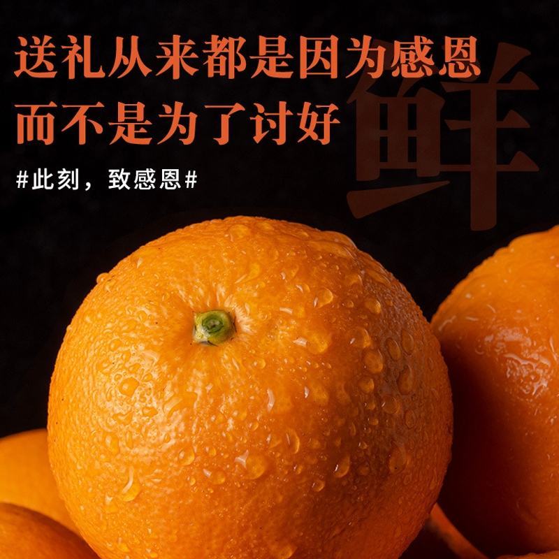橙子优质货源可支持电商一件代发