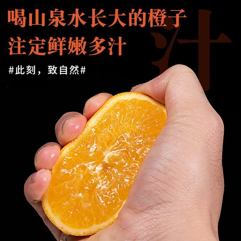 橙子优质货源可支持电商一件代发