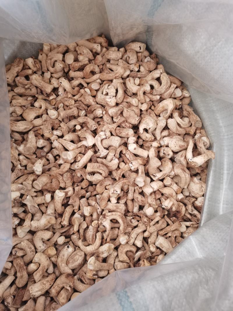 23年新货香菇脚大量现货供应量大从优