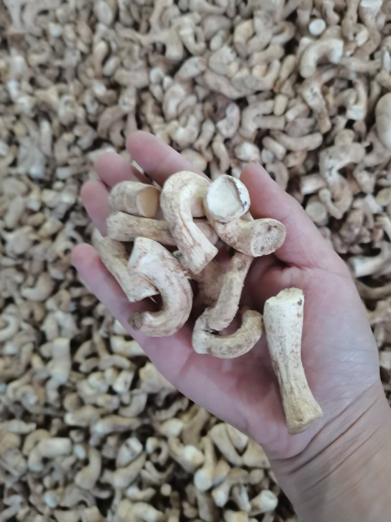 23年新货香菇脚大量现货供应量大从优