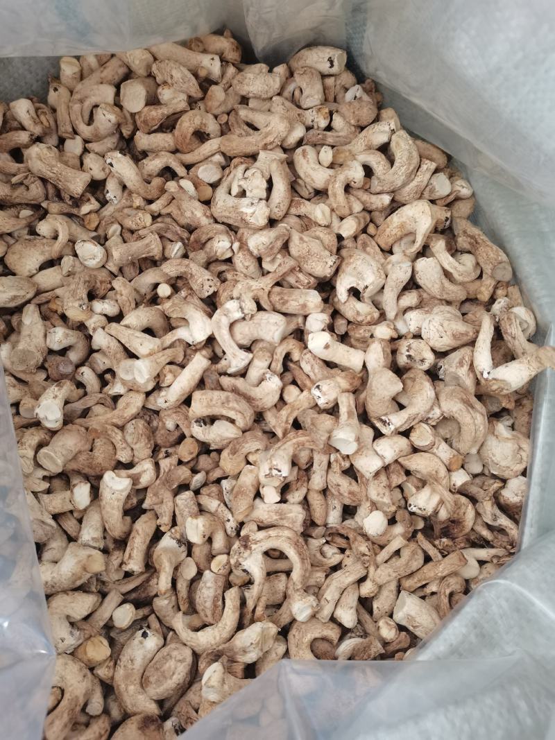 23年新货香菇脚大量现货供应量大从优