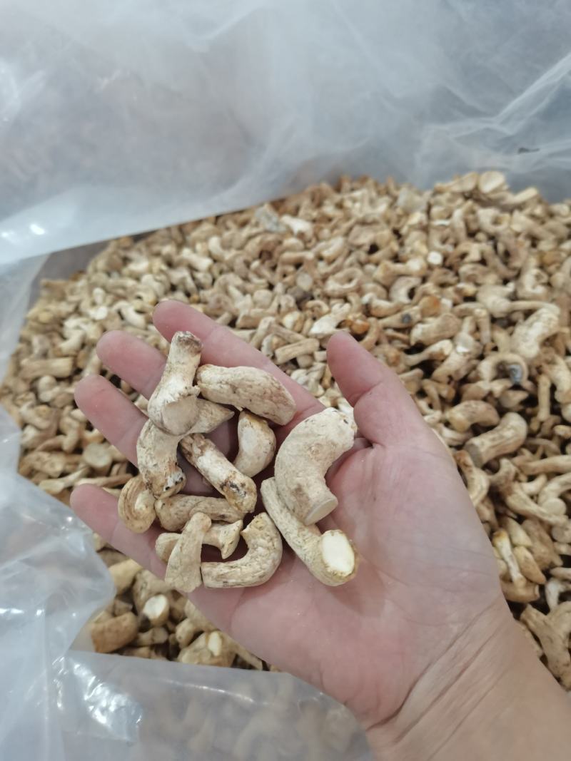 23年新货香菇脚大量现货供应量大从优