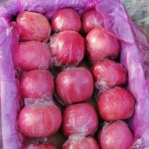 富士苹美美美美美美美美美美美美美美美美美美美美美美美美美