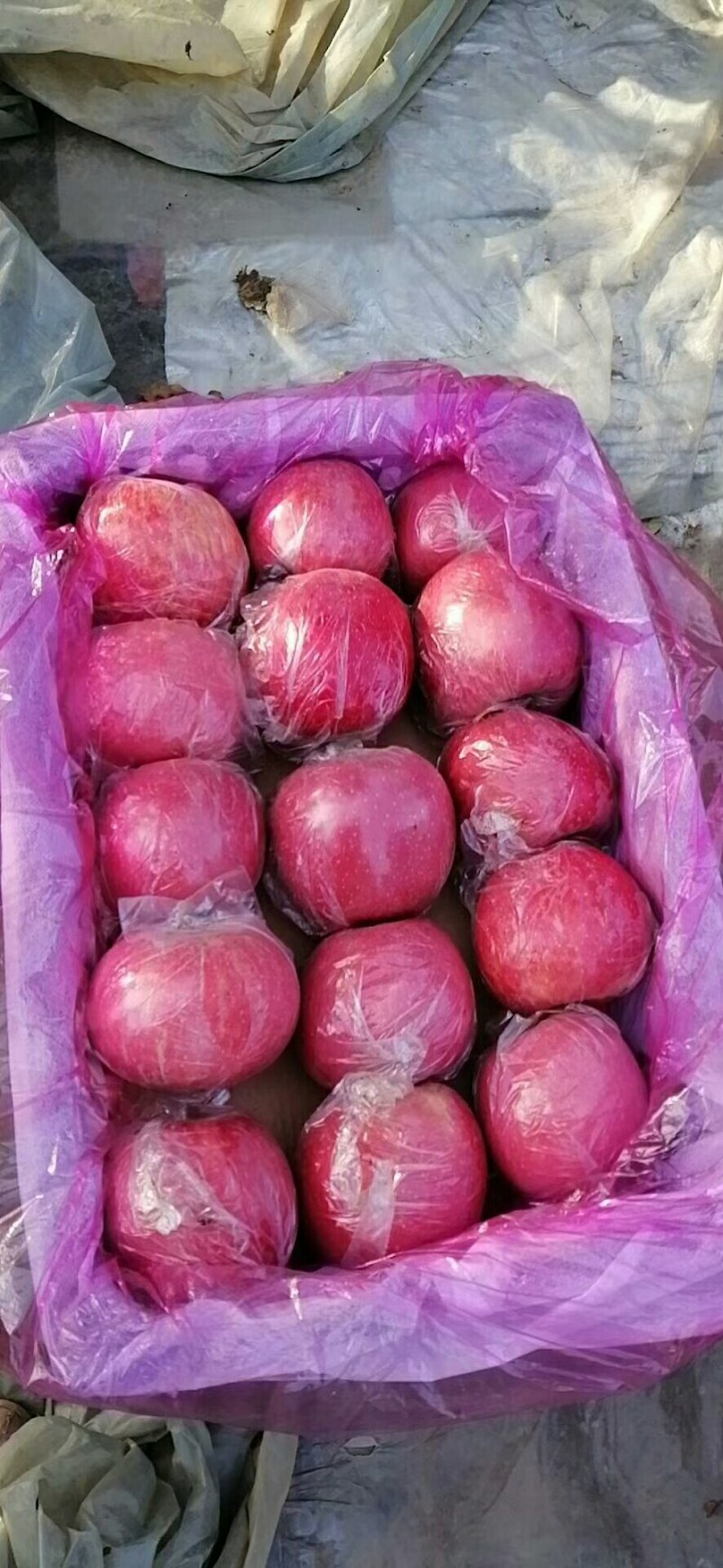 富士苹美美美美美美美美美美美美美美美美美美美美美美美美美