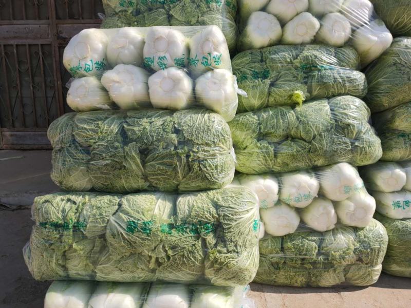 山东肥城和平阴北京三号白菜质量好，专业工人加工，超市**