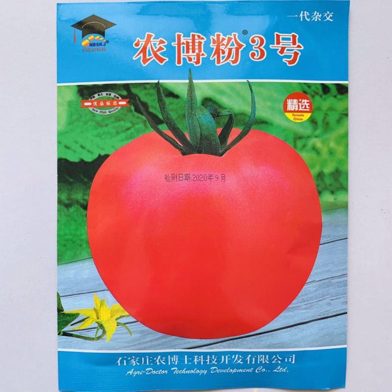 老品种西红柿种子耐热番茄粉红果大果西红柿种籽孑