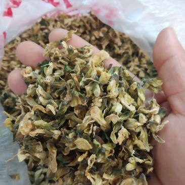 洋槐花，野生洋槐花，4月份大量上市，需要联系