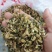 洋槐花，野生洋槐花，4月份大量上市，需要联系