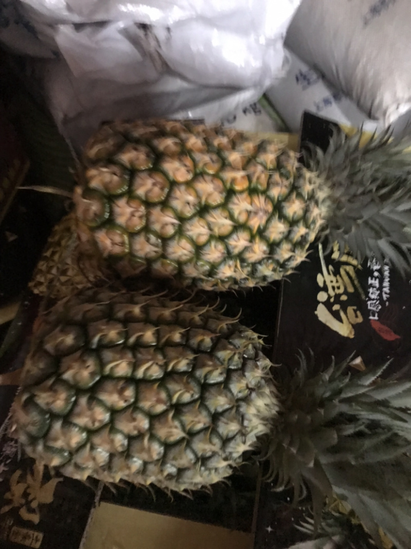 凤梨苗，可以带花发货，不带盆，可在阳台盆栽，可种地里！