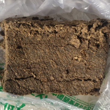 甘肃省古浪县大量纯生羊粪出售，有机肥原料供应的好肥料！