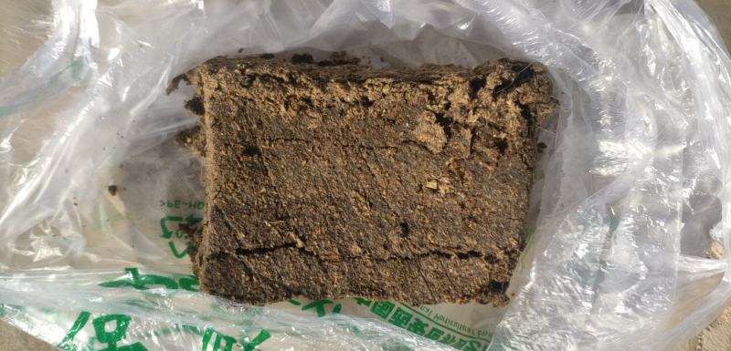 甘肃省古浪县大量纯生羊粪出售，有机肥原料供应的好肥料！