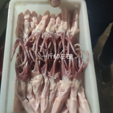 鸭舌纯干无水，无断须，颜色漂亮，干净，要好货的老板来谈，