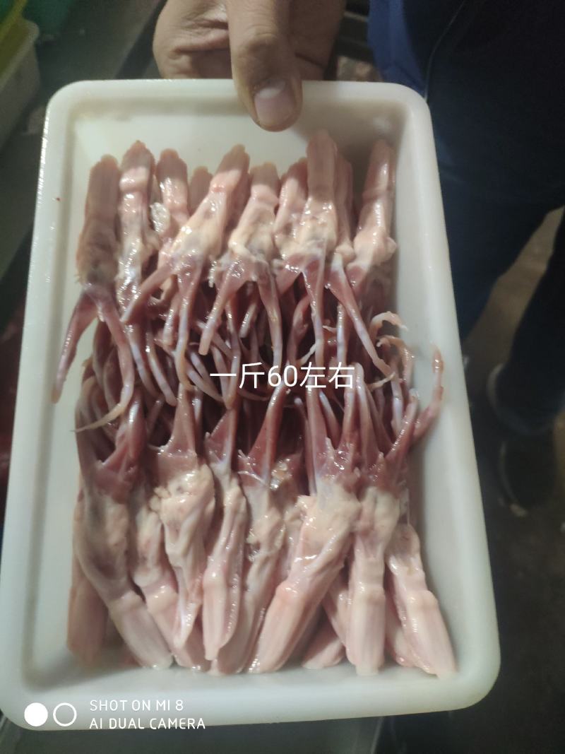 鸭舌纯干无水，无断须，颜色漂亮，干净，要好货的老板来谈，